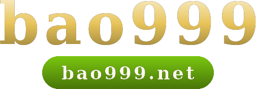 bao999 logo